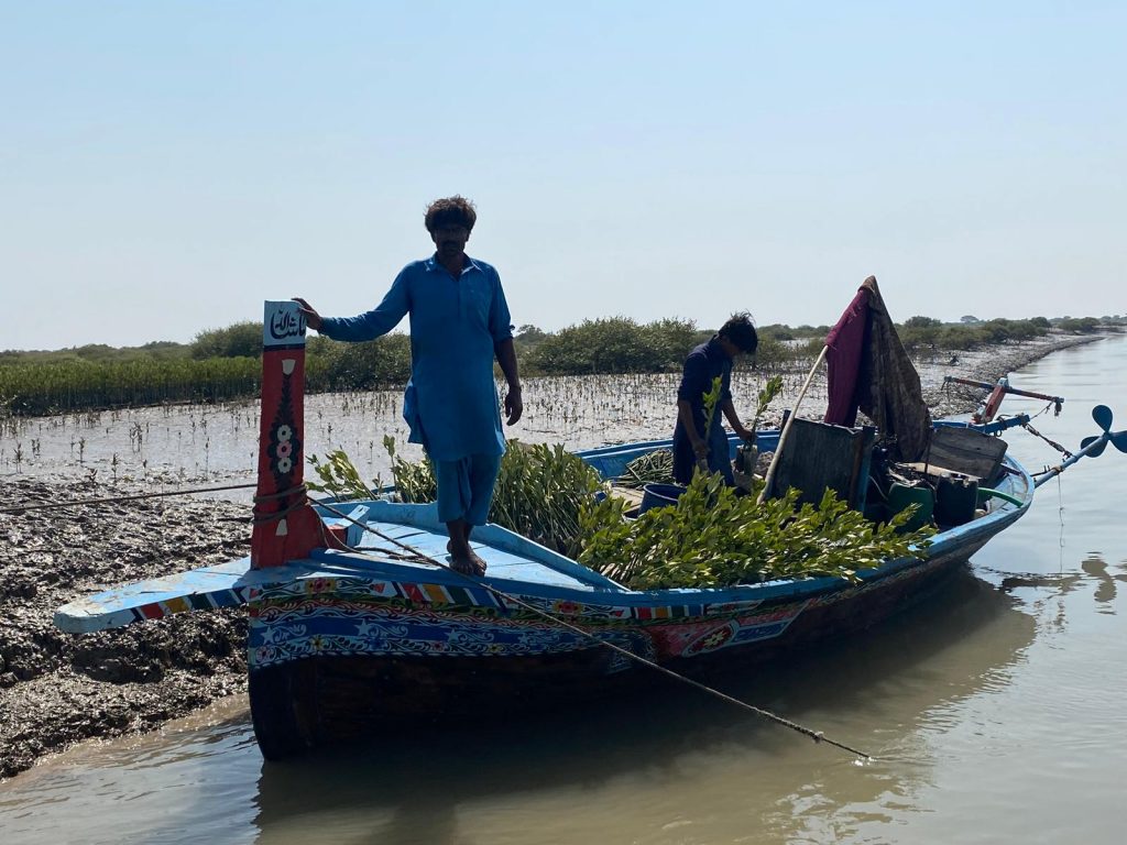 A blue, decorated boat is mored in shallow waters in Karachi, Pakistan. Two men are on board, tending to mangrove saplings ready to be planted.