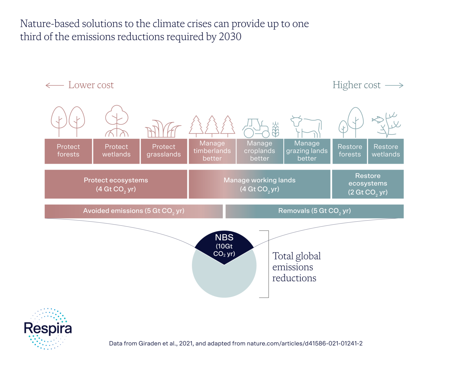 Nature based Carbon Credits Explained Respira International Ltd nature-based-carbon-credits-explained-respira-international-ltd